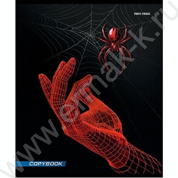 Тетрадь  48л клетка "Спайдер черный" | Фото 3