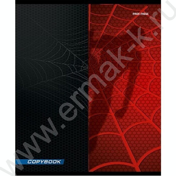 Тетрадь  48л клетка "Спайдер черный" | Фото 4