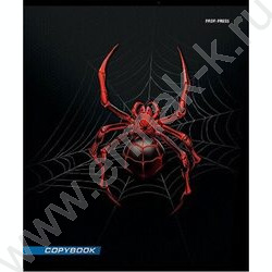 Тетрадь  48л клетка "Спайдер черный" | Фото 5