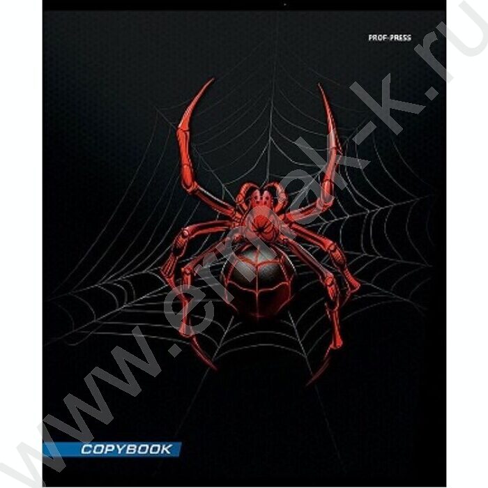 Тетрадь  48л клетка "Спайдер черный" | Фото 5