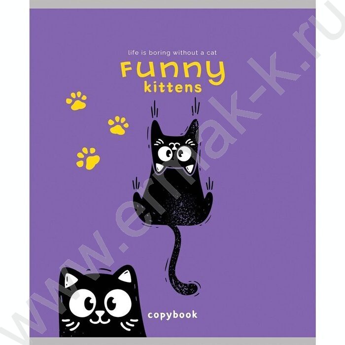 Тетрадь  48л клетка "Черно белый кот-2" /лён/ ассорти | Фото 5