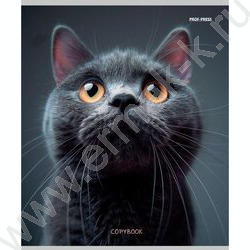 Тетрадь  96л клетка "Микс" | Фото 5