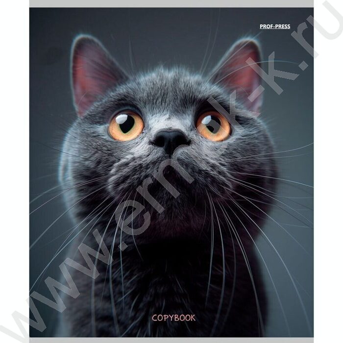 Тетрадь  96л клетка "Микс" | Фото 5