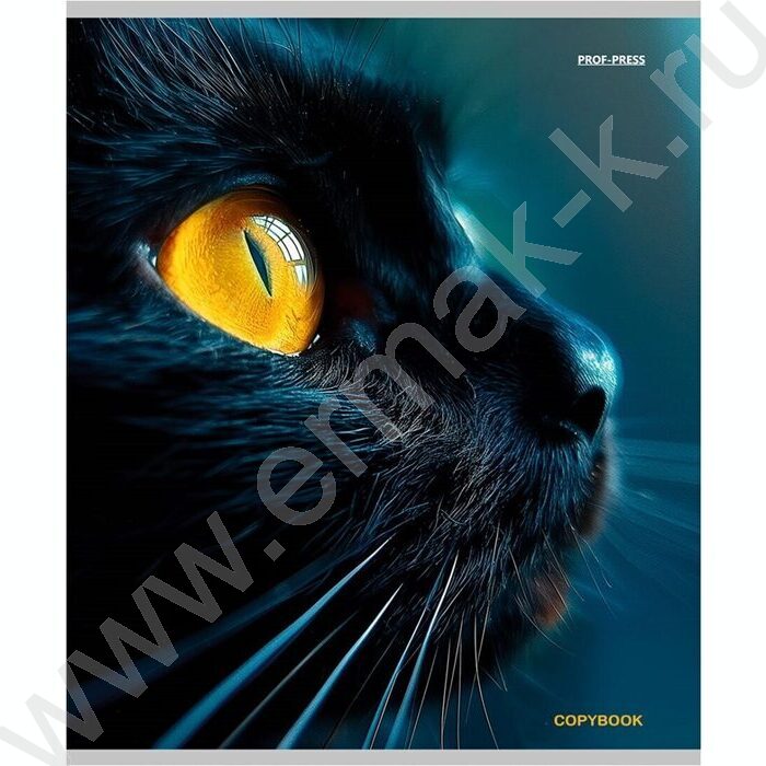 Тетрадь  96л клетка "Микс" | Фото 3