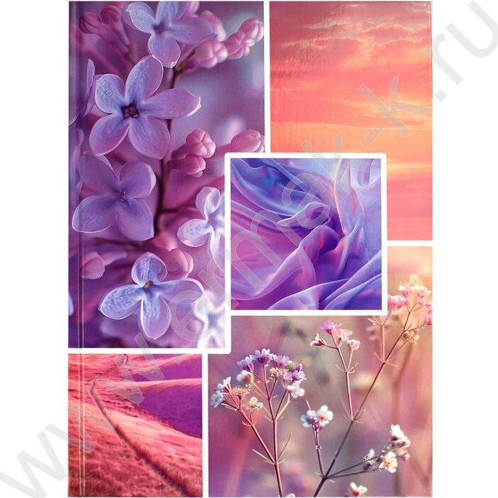 Тетрадь  96л А4 клетка/тв.обл. "Сиреневый микс" /лянц.лам./ | Фото 1