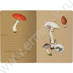 Тетрадь  40л линейка "Грибная феерия" 70 г/м2 бежевая бумага | Фото 2