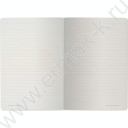 Тетрадь  40л линейка "Грибная феерия" 70 г/м2 бежевая бумага | Фото 4