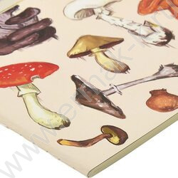 Тетрадь  40л линейка "Грибная феерия" 70 г/м2 бежевая бумага | Фото 5