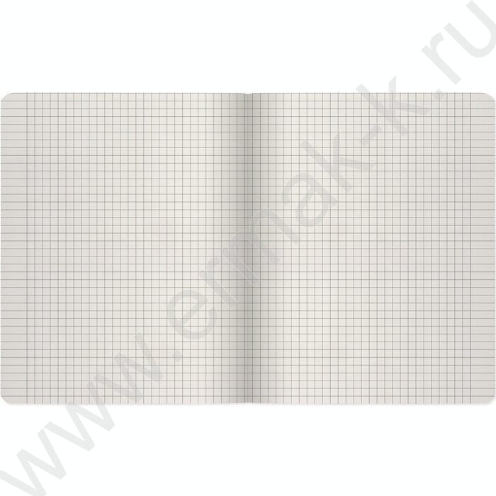 Тетрадь  48л клетка "Street skate" /мат.лам.Soft Touch/ ассорти | Фото 9