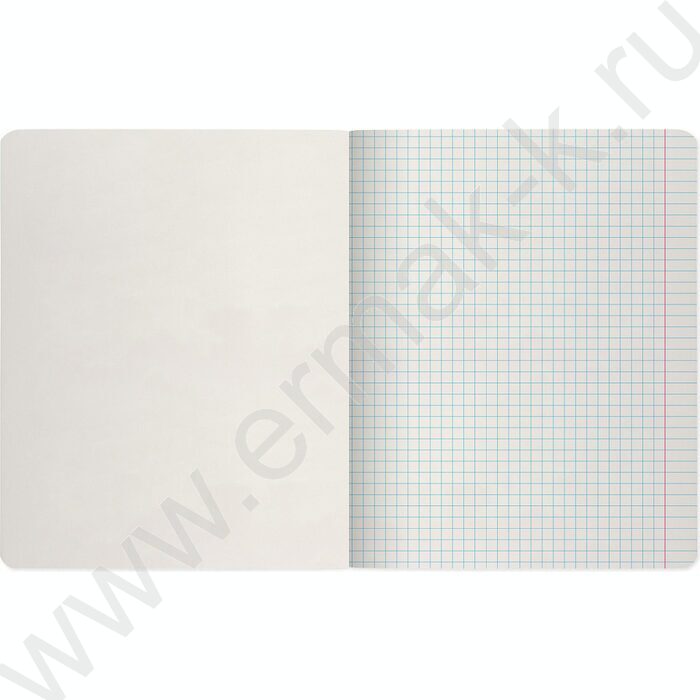 Тетрадь  48л клетка "Penny board" /мат.лам./ 5видов | Фото 7