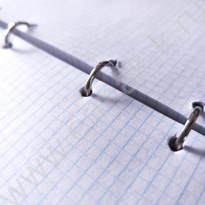 Тетрадь 160л клетка/кольца "Soundmania" со смен.блоком | Фото 2