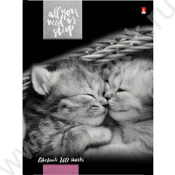 Бизнес-блокнот 160л А6 тв.обл. "Котята Мур-Мур" | Фото 2