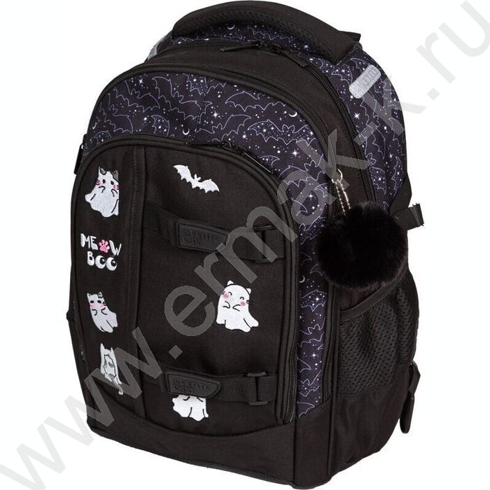 Рюкзак школьный 39x28x20см "Ergo. Ghost Meow" /2отд., 1перед. карман, эргоном. спинка | Фото 1