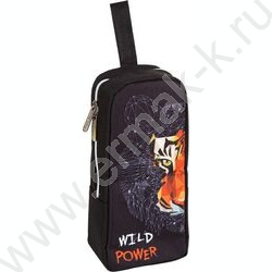 Пенал-прямоугольный 21*9*6см "Wild Power", молния, полиэстер, аппликация | Фото 1