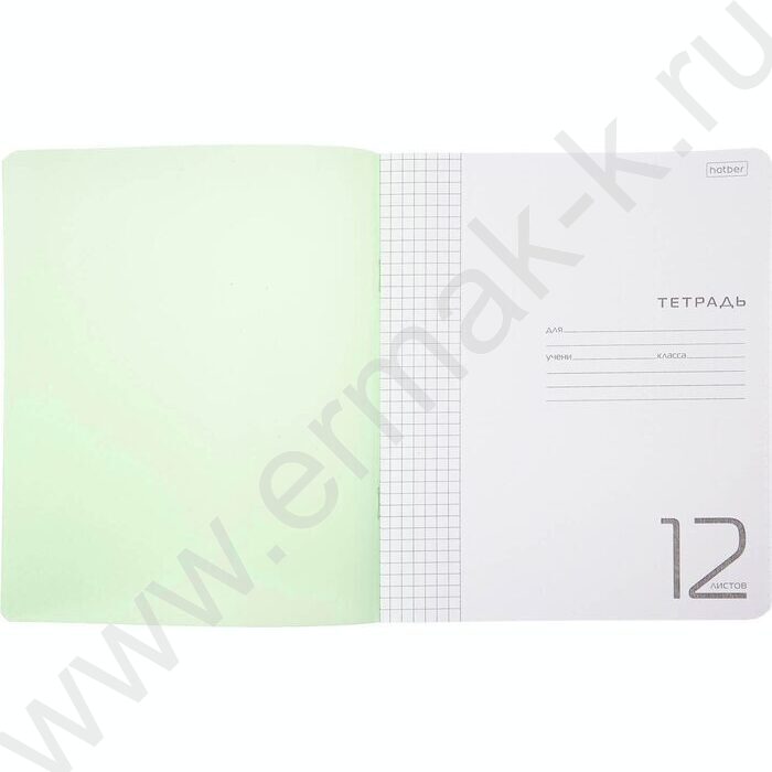 Тетрадь  12л клетка пл.обл."Зеленая" | Фото 4