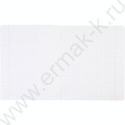 Тетрадь  12л клетка пл.обл."Зеленая" | Фото 5