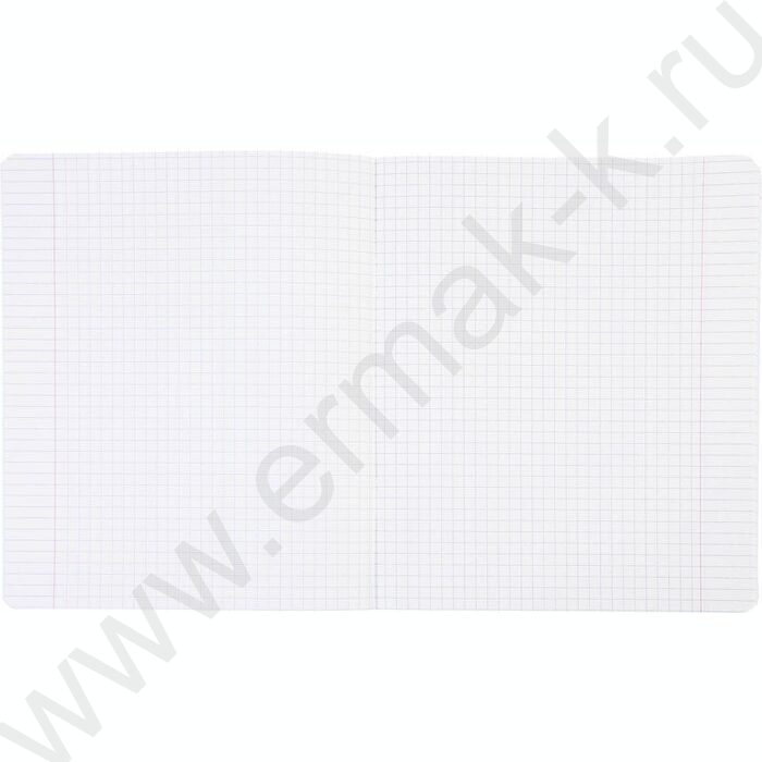 Тетрадь  12л клетка пл.обл."Зеленая" | Фото 5