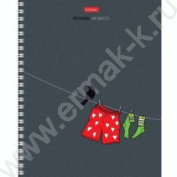 Тетрадь  48л клетка/спираль "За окном" /выб.лак/ 4вида | Фото 1