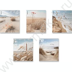 Тетрадь  48л клетка "Pasifico" /мат.лам. /ассорти | Фото 1