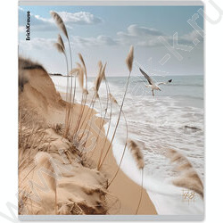 Тетрадь  48л клетка "Pasifico" /мат.лам. /ассорти | Фото 2