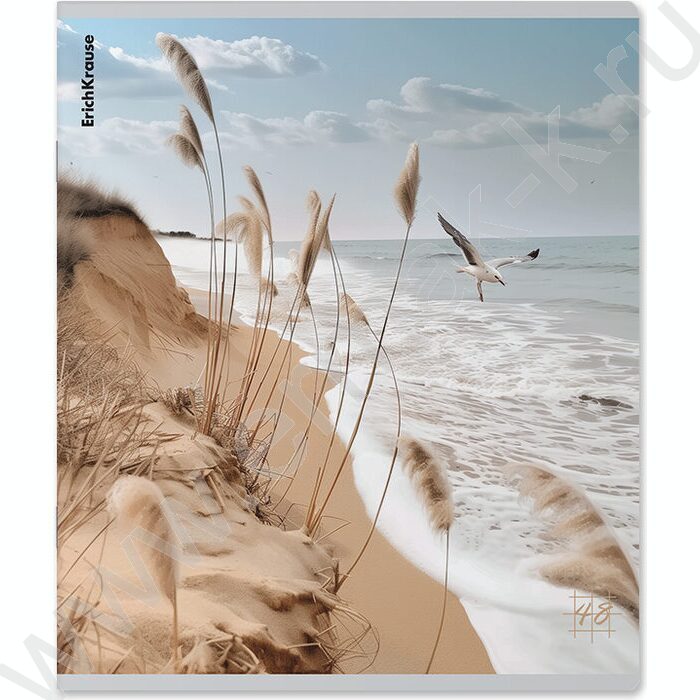 Тетрадь  48л клетка "Pasifico" /мат.лам. /ассорти | Фото 2