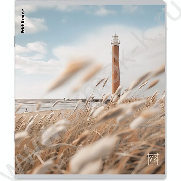 Тетрадь  48л клетка "Pasifico" /мат.лам. /ассорти | Фото 3