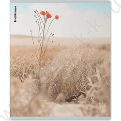 Тетрадь  48л клетка "Pasifico" /мат.лам. /ассорти | Фото 6