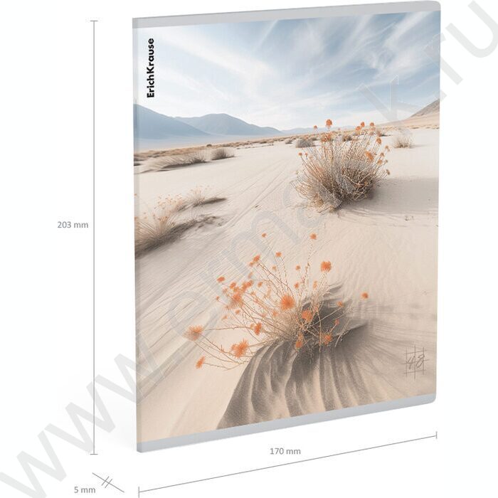 Тетрадь  48л клетка "Pasifico" /мат.лам. /ассорти | Фото 8