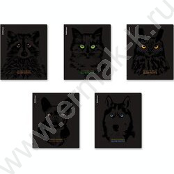 Тетрадь  48л клетка "Gaze" /лам. soft-touch + выбор. УФ-лак /ассорти | Фото 1