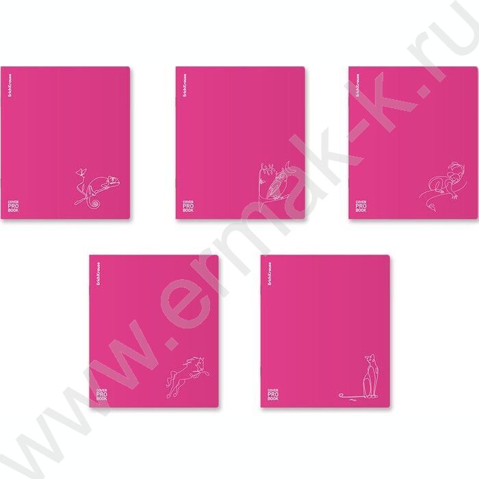 Тетрадь  48л А5+ клетка/пластик обл./ "Silhouette" /розовый /ассорти | Фото 1