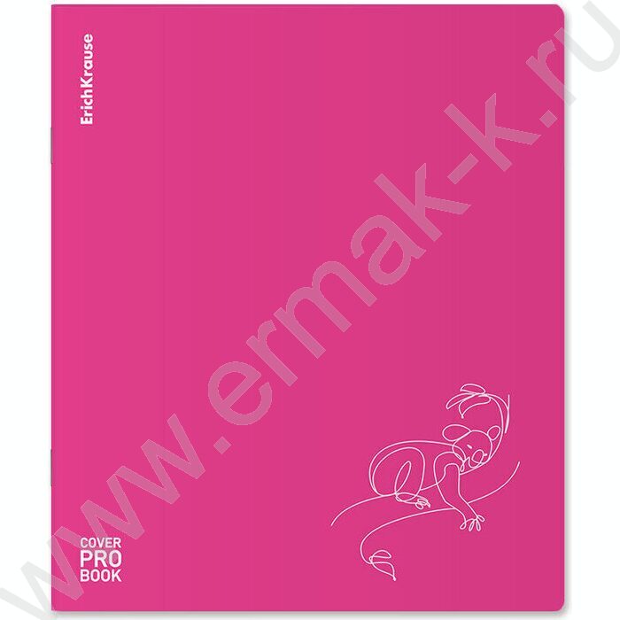 Тетрадь  48л А5+ клетка/пластик обл./ "Silhouette" /розовый /ассорти | Фото 2