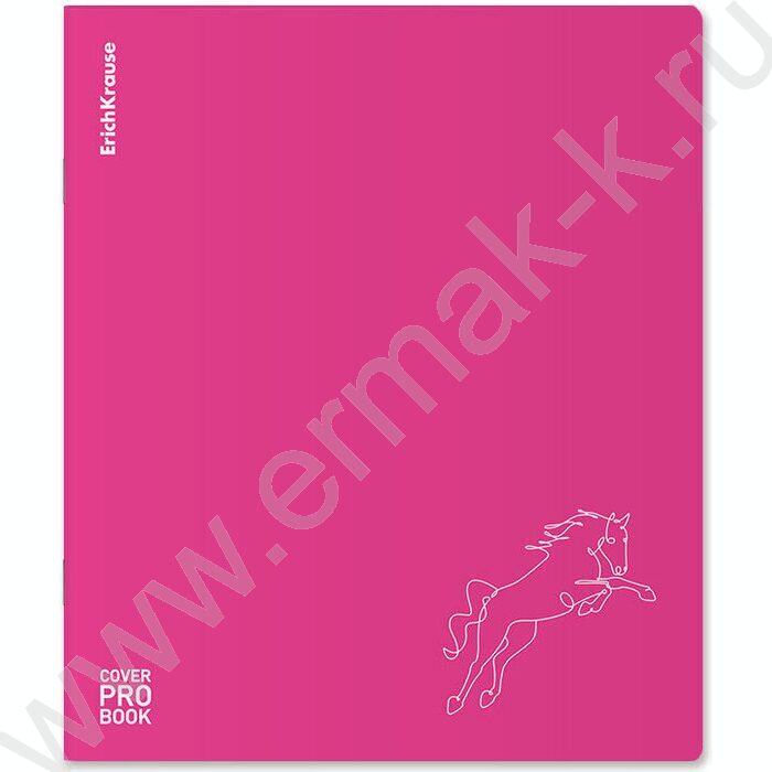 Тетрадь  48л А5+ клетка/пластик обл./ "Silhouette" /розовый /ассорти | Фото 3