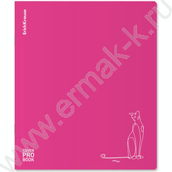 Тетрадь  48л А5+ клетка/пластик обл./ "Silhouette" /розовый /ассорти | Фото 4