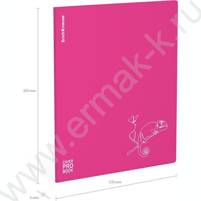 Тетрадь  48л А5+ клетка/пластик обл./ "Silhouette" /розовый /ассорти | Фото 8