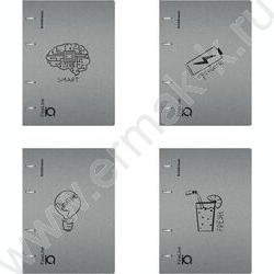 Тетрадь 100л А5 клетка/кольца/пластик обл./  "IQ FineLine, Life Style" /серебристая | Фото 1