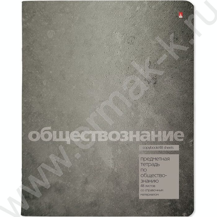 Тетрадь предметная 48л "Stone Color" Обществознание | Фото 1