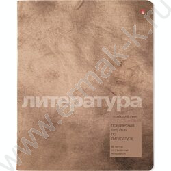 Тетрадь предметная 48л "Stone Color" Литература линейка | Фото 1
