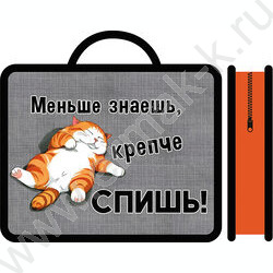 Папка д/тетрадей А4 пластик с ручками Спящий котик | Фото 1