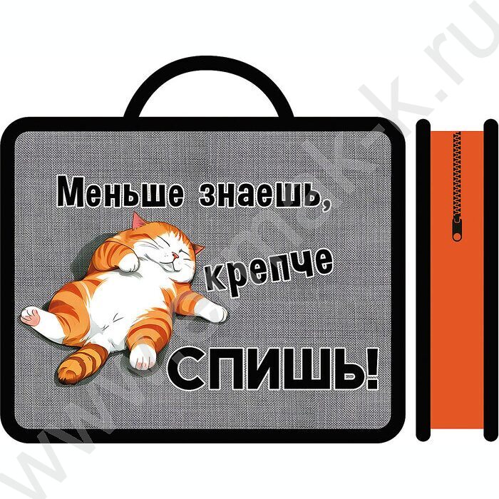 Папка д/тетрадей А4 пластик с ручками Спящий котик | Фото 1