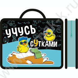 Папка д/тетрадей А4 пластик с ручками Учусь сутками | Фото 1