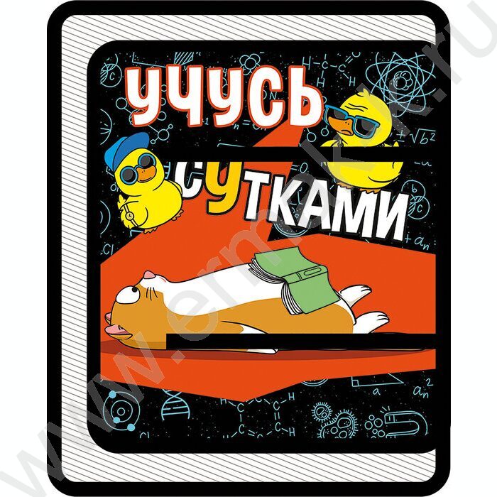 Папка д/труда А4 пластик молния вокруг Учусь сутками | Фото 1