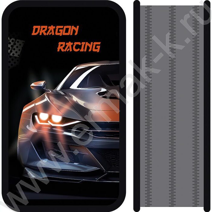 Пенал б/наполн. 3молнии 190*105мм Dragon racing /большой, тканевый торец | Фото 1