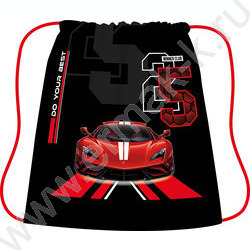 Сумка д/обуви 420*340 цветная с рисунком, ткань "Автоклуб 25" | Фото 1