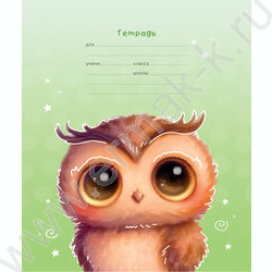 Тетрадь  12л клетка "Маленькая любовь" ассорти, эконом | Фото 6