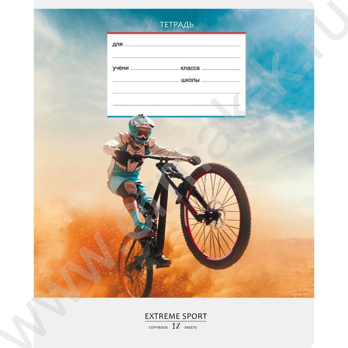 Тетрадь  12л клетка "Спорт" ассорти | Фото 2