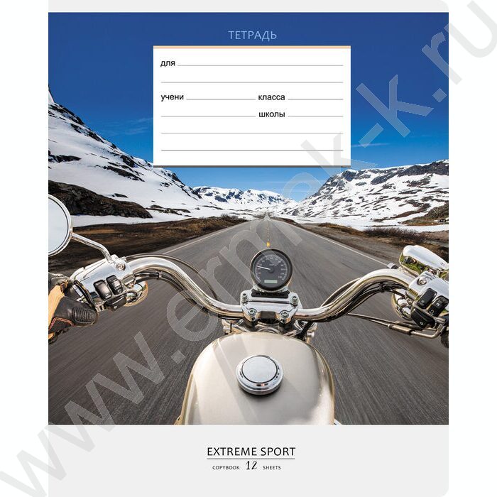 Тетрадь  12л клетка "Спорт" ассорти | Фото 4