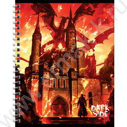 Тетрадь  48л клетка/спираль "Темная сторона" /ассорти, эконом | Фото 3