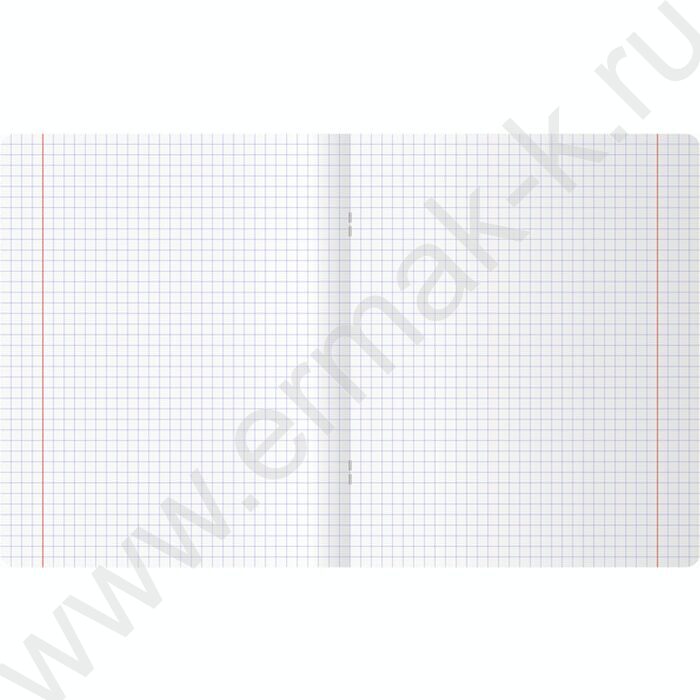 Тетрадь  48л клетка "Elegance" /металлизированный пантон, тиснение фольгой/ ассорти | Фото 6