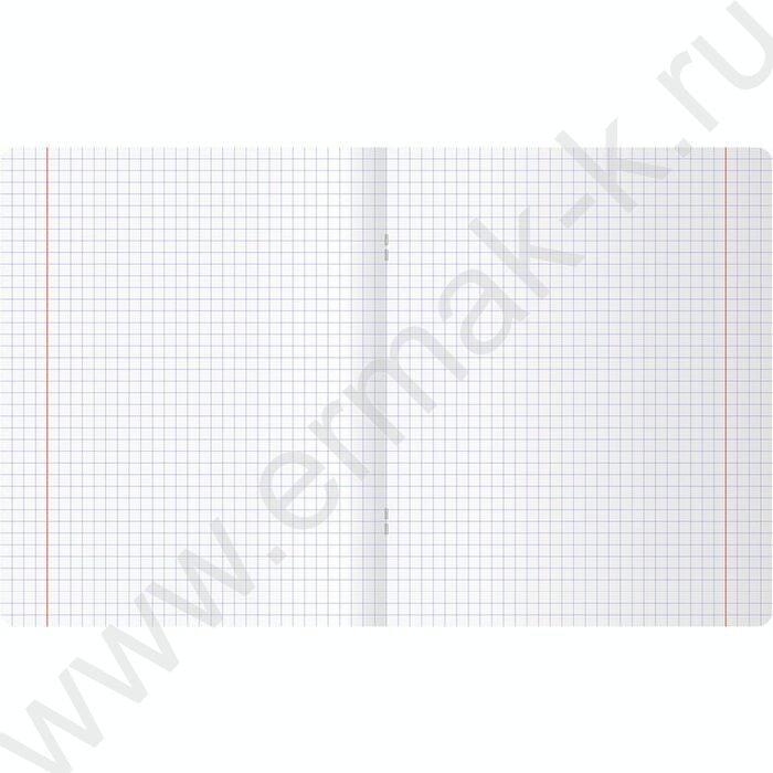 Тетрадь  48л клетка "Добиться успеха" soft-touch ламинация, выб. лак/ ассорти | Фото 5