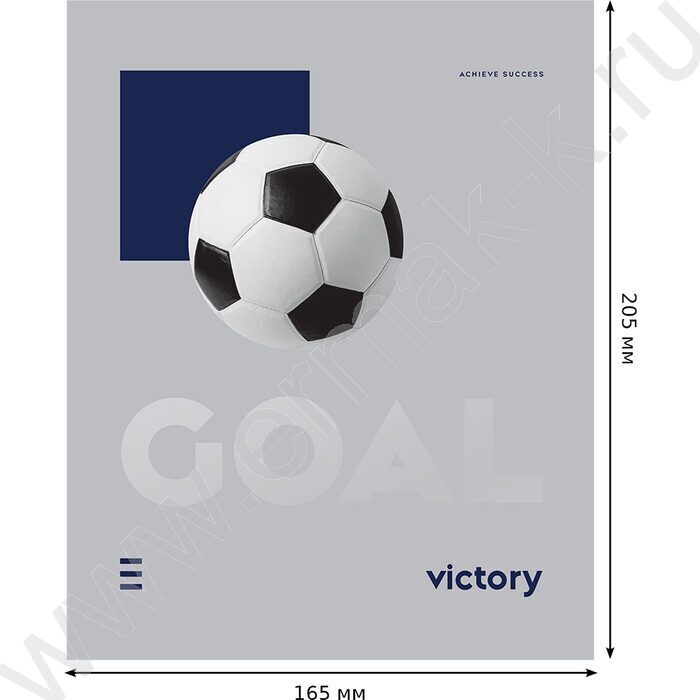 Тетрадь  48л клетка "Добиться успеха" soft-touch ламинация, выб. лак/ ассорти | Фото 6